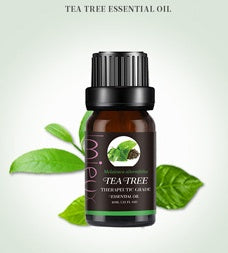 Essential oil
Promote relaxation and wellness through aromatherapy.